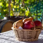 Zidanica Vidrih Hébergement de vacances *