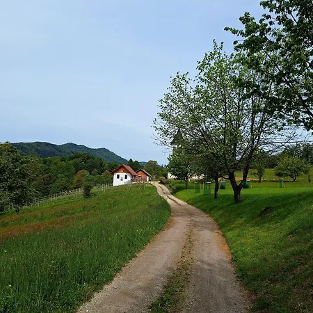 Zidanica Vidrih Ferienhaus