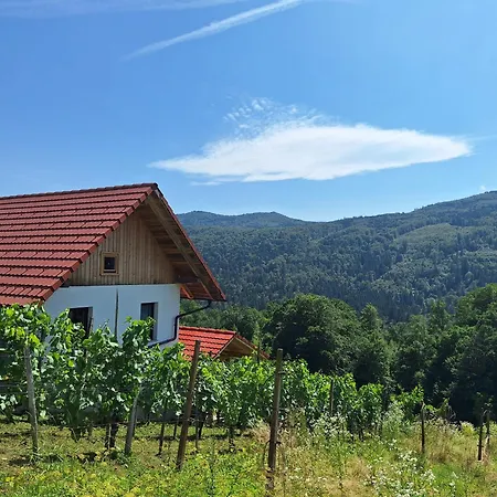Zidanica Vidrih Сasa de vacaciones Dolenjske Toplice