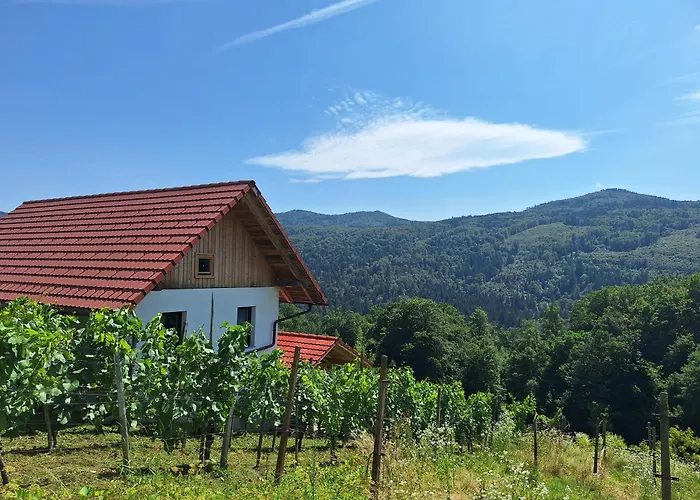 Zidanica Vidrih בית נופש דולנז'סקה טופליסה
