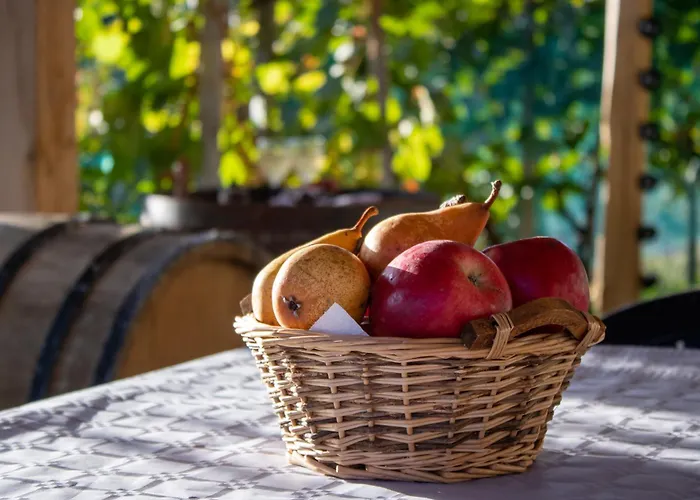 Zidanica Vidrih בית נופש *